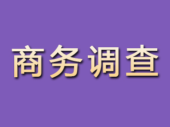 镇原商务调查